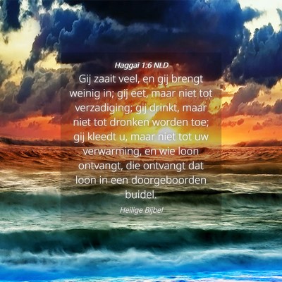 Picture 04 - Haggaï 1:6 NLD - Gij zaait veel, en gij brengt weinig in; gij eet, - Bible Verse Picture