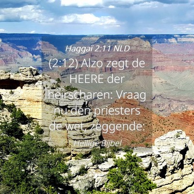 Picture 04 - Haggaï 2:11 NLD - (2:12) Alzo zegt de HEERE der heirscharen: Vraag - Bible Verse Picture