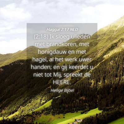 Picture 04 - Haggaï 2:17 NLD - (2:18) Ik sloeg ulieden met brandkoren, met - Bible Verse Picture