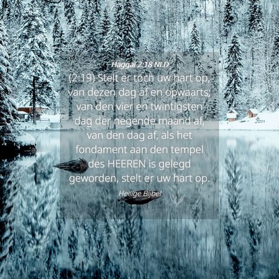 Picture 04 - Haggaï 2:18 NLD - (2:19) Stelt er toch uw hart op, van dezen dag af - Bible Verse Picture