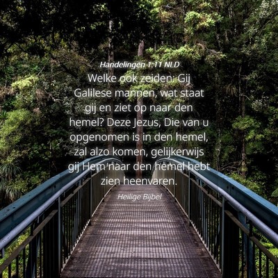Picture 04 - Handelingen 1:11 NLD - Welke ook zeiden: Gij Galilese mannen, wat staat - Bible Verse Picture