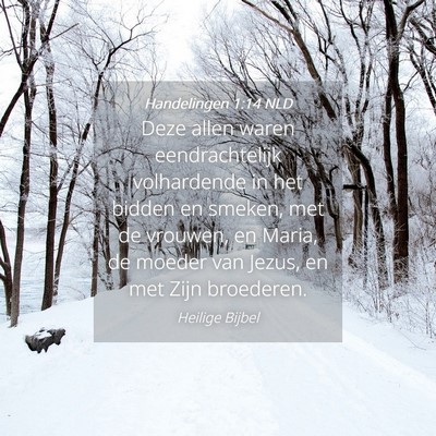 Picture 04 - Handelingen 1:14 NLD - Deze allen waren eendrachtelijk volhardende in - Bible Verse Picture