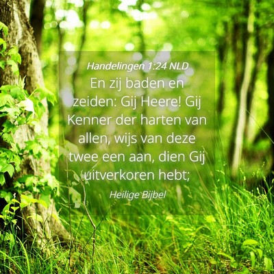 Picture 04 - Handelingen 1:24 NLD - En zij baden en zeiden: Gij Heere! Gij Kenner der - Bible Verse Picture