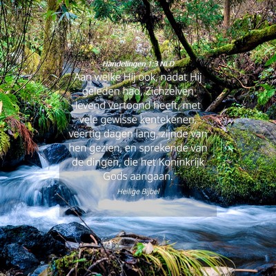 Picture 04 - Handelingen 1:3 NLD - Aan welke Hij ook, nadat Hij geleden had, - Bible Verse Picture