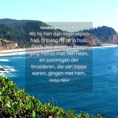 Picture 04 - Handelingen 10:23 NLD - Als hij hen dan ingeroepen had, ontving hij ze in - Bible Verse Picture