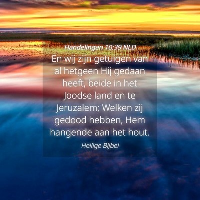 Picture 04 - Handelingen 10:39 NLD - En wij zijn getuigen van al hetgeen Hij gedaan - Bible Verse Picture
