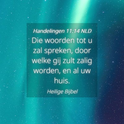 Picture 04 - Handelingen 11:14 NLD - Die woorden tot u zal spreken, door welke gij - Bible Verse Picture