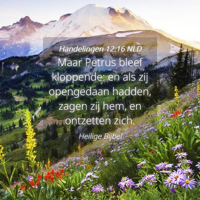 Picture 04 - Handelingen 12:16 NLD - Maar Petrus bleef kloppende: en als zij - Bible Verse Picture