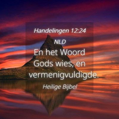 Picture 04 - Handelingen 12:24 NLD - En het Woord Gods wies, en - Bible Verse Picture