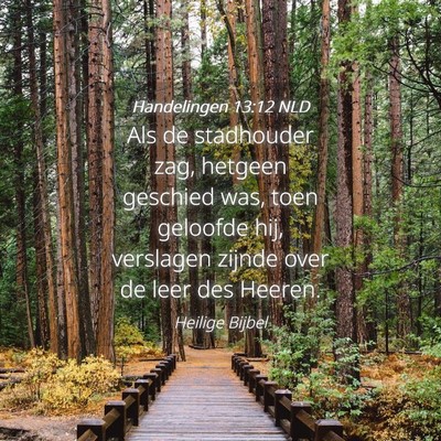 Picture 04 - Handelingen 13:12 NLD - Als de stadhouder zag, hetgeen geschied was, toen - Bible Verse Picture