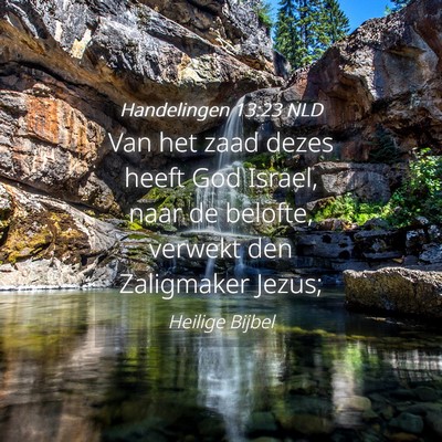 Picture 04 - Handelingen 13:23 NLD - Van het zaad dezes heeft God Israel, naar de - Bible Verse Picture