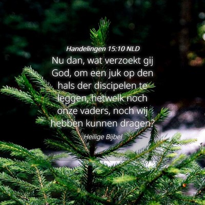 Picture 04 - Handelingen 15:10 NLD - Nu dan, wat verzoekt gij God, om een juk op den - Bible Verse Picture