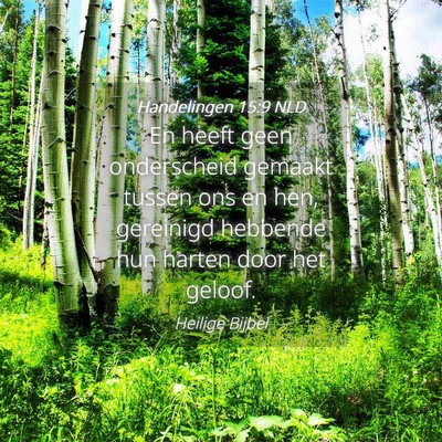 Picture 04 - Handelingen 15:9 NLD - En heeft geen onderscheid gemaakt tussen ons en - Bible Verse Picture
