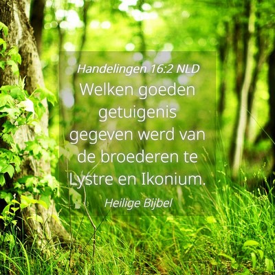 Picture 04 - Handelingen 16:2 NLD - Welken goeden getuigenis gegeven werd van de - Bible Verse Picture