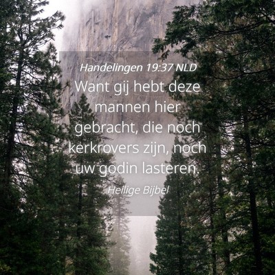 Picture 04 - Handelingen 19:37 NLD - Want gij hebt deze mannen hier gebracht, die noch - Bible Verse Picture