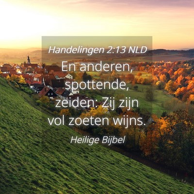 Picture 04 - Handelingen 2:13 NLD - En anderen, spottende, zeiden: Zij zijn vol - Bible Verse Picture