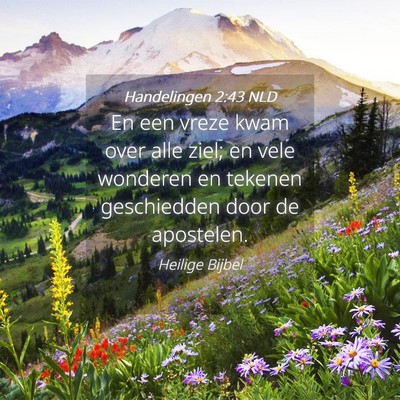 Picture 04 - Handelingen 2:43 NLD - En een vreze kwam over alle ziel; en vele - Bible Verse Picture