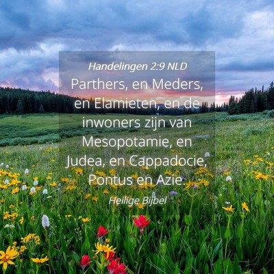 Picture 04 - Handelingen 2:9 NLD - Parthers, en Meders, en Elamieten, en de inwoners - Bible Verse Picture