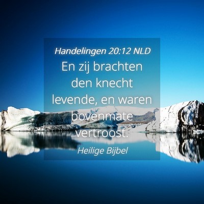 Picture 04 - Handelingen 20:12 NLD - En zij brachten den knecht levende, en waren - Bible Verse Picture