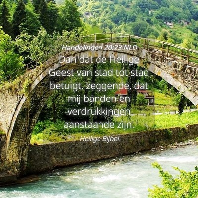 Picture 04 - Handelingen 20:23 NLD - Dan dat de Heilige Geest van stad tot stad - Bible Verse Picture