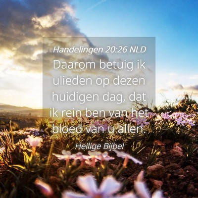 Picture 04 - Handelingen 20:26 NLD - Daarom betuig ik ulieden op dezen huidigen dag, - Bible Verse Picture