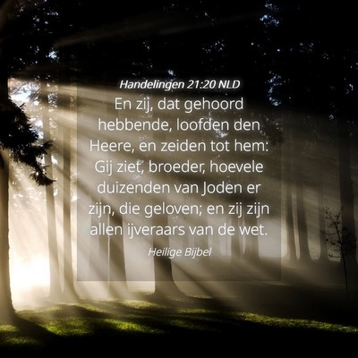 Picture 04 - Handelingen 21:20 NLD - En zij, dat gehoord hebbende, loofden den Heere, - Bible Verse Picture