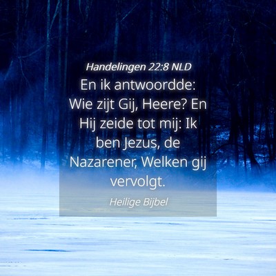 Picture 04 - Handelingen 22:8 NLD - En ik antwoordde: Wie zijt Gij, Heere? En Hij - Bible Verse Picture