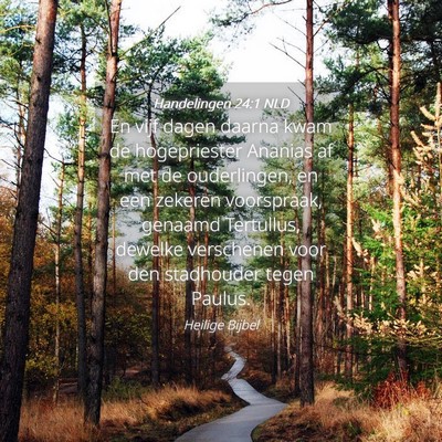 Picture 04 - Handelingen 24:1 NLD - En vijf dagen daarna kwam de hogepriester Ananias - Bible Verse Picture