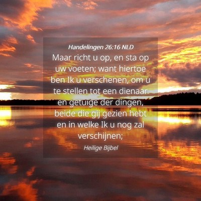Picture 04 - Handelingen 26:16 NLD - Maar richt u op, en sta op uw voeten; want - Bible Verse Picture