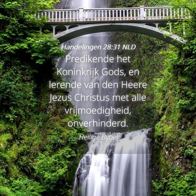 Picture 04 - Handelingen 28:31 NLD - Predikende het Koninkrijk Gods, en lerende van - Bible Verse Picture