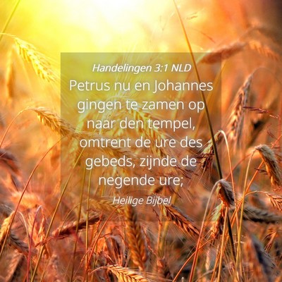 Picture 04 - Handelingen 3:1 NLD - Petrus nu en Johannes gingen te zamen op naar den - Bible Verse Picture