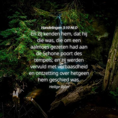 Picture 04 - Handelingen 3:10 NLD - En zij kenden hem, dat hij die was, die om een - Bible Verse Picture