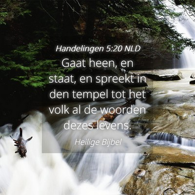 Picture 04 - Handelingen 5:20 NLD - Gaat heen, en staat, en spreekt in den tempel tot - Bible Verse Picture