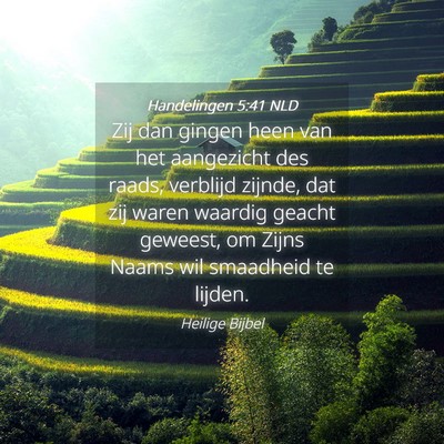 Picture 04 - Handelingen 5:41 NLD - Zij dan gingen heen van het aangezicht des raads, - Bible Verse Picture