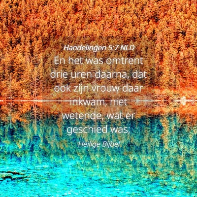 Picture 04 - Handelingen 5:7 NLD - En het was omtrent drie uren daarna, dat ook zijn - Bible Verse Picture