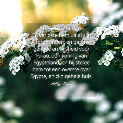 Picture 04 - Handelingen 7:10 NLD - En verloste hem uit al zijn verdrukkingen, en gaf - Bible Verse Picture