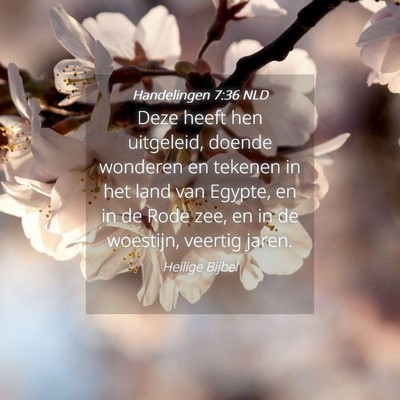 Picture 04 - Handelingen 7:36 NLD - Deze heeft hen uitgeleid, doende wonderen en - Bible Verse Picture