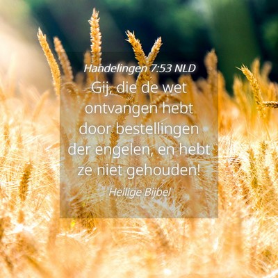Picture 04 - Handelingen 7:53 NLD - Gij, die de wet ontvangen hebt door bestellingen - Bible Verse Picture