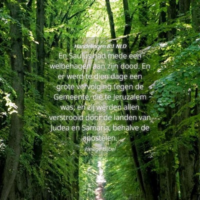 Picture 04 - Handelingen 8:1 NLD - En Saulus had mede een welbehagen aan zijn dood. - Bible Verse Picture
