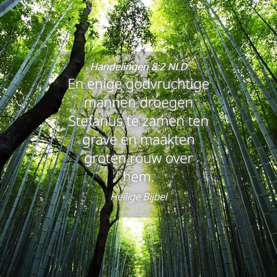 Picture 04 - Handelingen 8:2 NLD - En enige godvruchtige mannen droegen Stefanus te - Bible Verse Picture