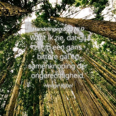 Picture 04 - Handelingen 8:23 NLD - Want ik zie, dat gij zijt in een gans bittere gal - Bible Verse Picture