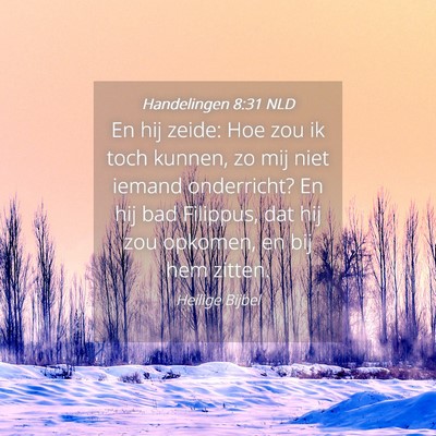 Picture 04 - Handelingen 8:31 NLD - En hij zeide: Hoe zou ik toch kunnen, zo mij niet - Bible Verse Picture