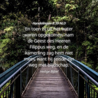 Picture 04 - Handelingen 8:39 NLD - En toen zij uit het water waren opgekomen, nam de - Bible Verse Picture