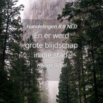 Picture 04 - Handelingen 8:8 NLD - En er werd grote blijdschap in die - Bible Verse Picture