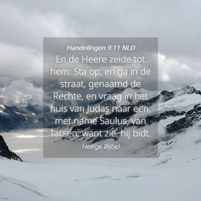 Picture 04 - Handelingen 9:11 NLD - En de Heere zeide tot hem: Sta op, en ga in de - Bible Verse Picture