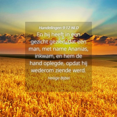 Picture 04 - Handelingen 9:12 NLD - En hij heeft in een gezicht gezien, dat een man, - Bible Verse Picture