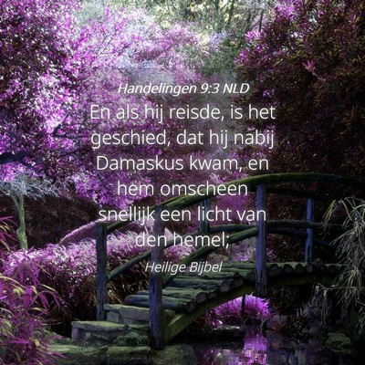 Picture 04 - Handelingen 9:3 NLD - En als hij reisde, is het geschied, dat hij nabij - Bible Verse Picture