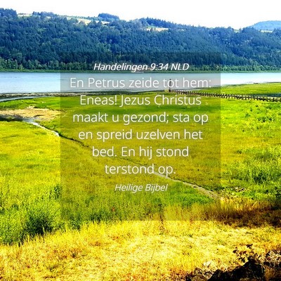 Picture 04 - Handelingen 9:34 NLD - En Petrus zeide tot hem: Eneas! Jezus Christus - Bible Verse Picture