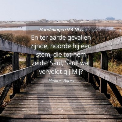 Picture 04 - Handelingen 9:4 NLD - En ter aarde gevallen zijnde, hoorde hij een - Bible Verse Picture