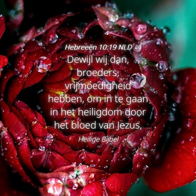 Picture 04 - Hebreeën 10:19 NLD - Dewijl wij dan, broeders, vrijmoedigheid hebben, - Bible Verse Picture